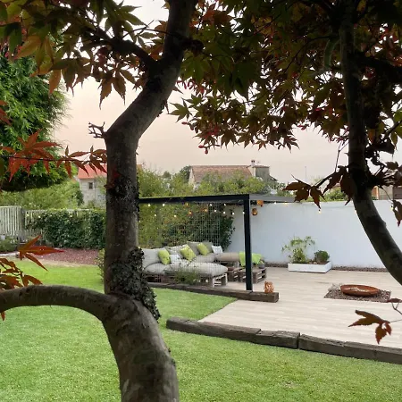 Casa De Cactus Tatil Evi