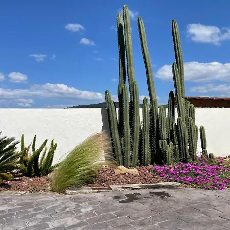 Casa De Los Cactus * Vigo